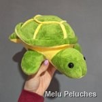 Tortuga